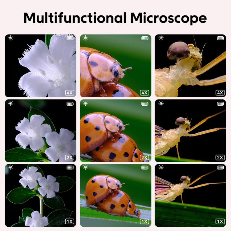 Microscopio digitale portatile per bambini Inskam 355 con display da 2 pollici e 2 MP.