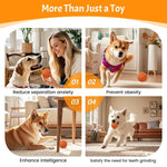 O15 Palla giocattolo automatica intelligente per addestramento cani, diametro 80 mm