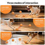 O18 Palla giocattolo automatica intelligente per addestramento cani, diametro 80 mm