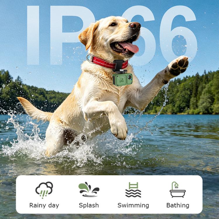 Localizzatore GPS per animali domestici 4G impermeabile per esterni con telecamera di monitoraggio in tempo reale, US Version