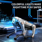 JJR/C R39 Robot Cane Intelligente Controllabile a Telecomando, with Voice Control, No Voice Control