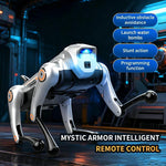JJR/C R39 Robot Cane Intelligente Controllabile a Telecomando, with Voice Control, No Voice Control