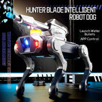 JJR/C R41 Hunter Blade Robot Cane con telecomando intelligente, with Turret, with Clip