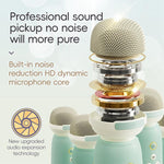 Altoparlante karaoke C60 Mini compatibile con Bluetooth, con tastiera al pianoforte e microfono wireless.