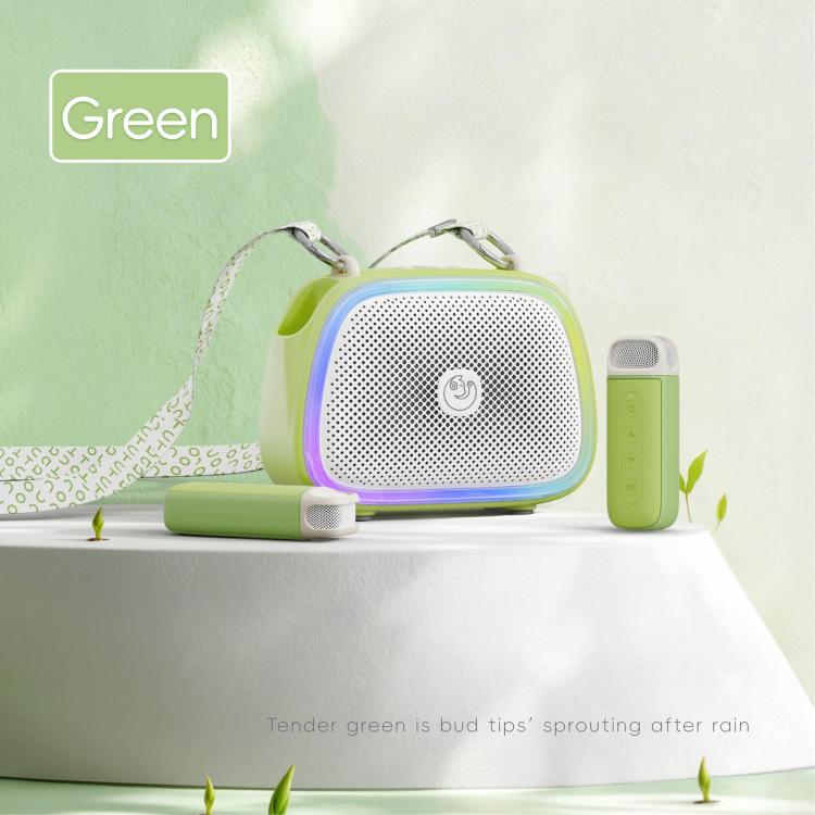 Altoparlante wireless portatile per karaoke C22 con microfono e tracolla