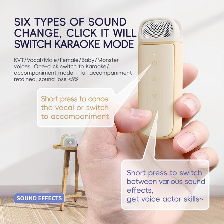 Altoparlante wireless portatile per karaoke C22 con microfono e tracolla