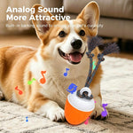 O20 Smart Automatic Pet Toy Ball Training Dog Training con luci, suoni e corda