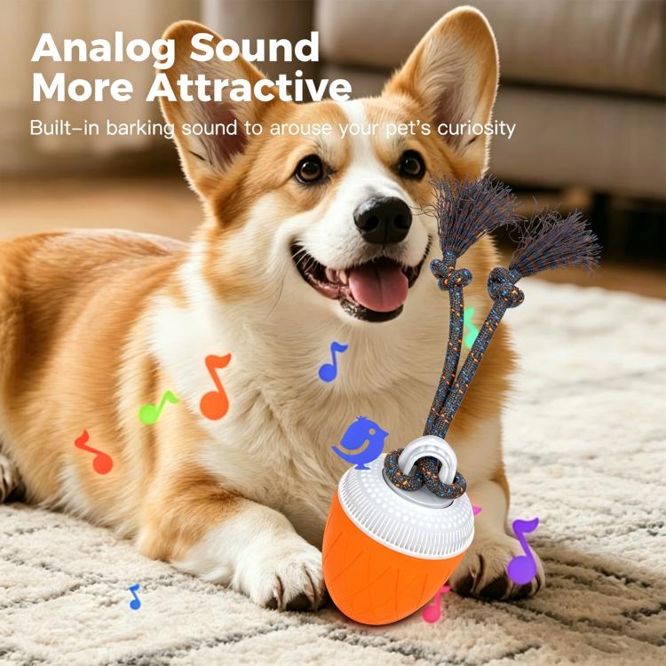 O20 Smart Automatic Pet Toy Ball Training Dog Training con luci, suoni e corda