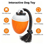 O20 Smart Automatic Pet Toy Ball Training Dog Training con luci, suoni e corda