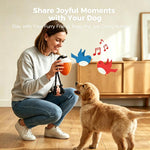 O20 Smart Automatic Pet Toy Ball Training Dog Training con luci, suoni e corda