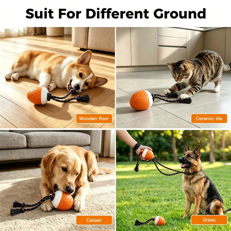 O20 Smart Automatic Pet Toy Ball Training Dog Training con luci, suoni e corda
