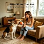 O20 Smart Automatic Pet Toy Ball Training Dog Training con luci, suoni e corda