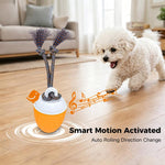 O20 Smart Automatic Pet Toy Ball Training Dog Training con luci, suoni e corda