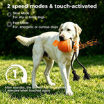 O20 Smart Automatic Pet Toy Ball Training Dog Training con luci, suoni e corda