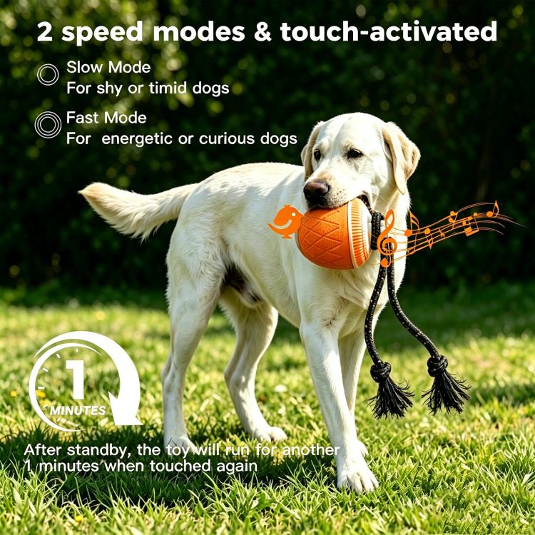 O20 Smart Automatic Pet Toy Ball Training Dog Training con luci, suoni e corda