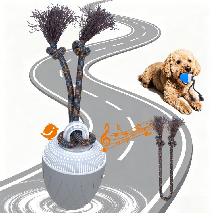 O20 Smart Automatic Pet Toy Ball Training Dog Training con luci, suoni e corda