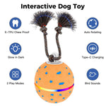 O23 Palla giocattolo automatica intelligente per addestramento cani con luci, suoni e corda, O23
