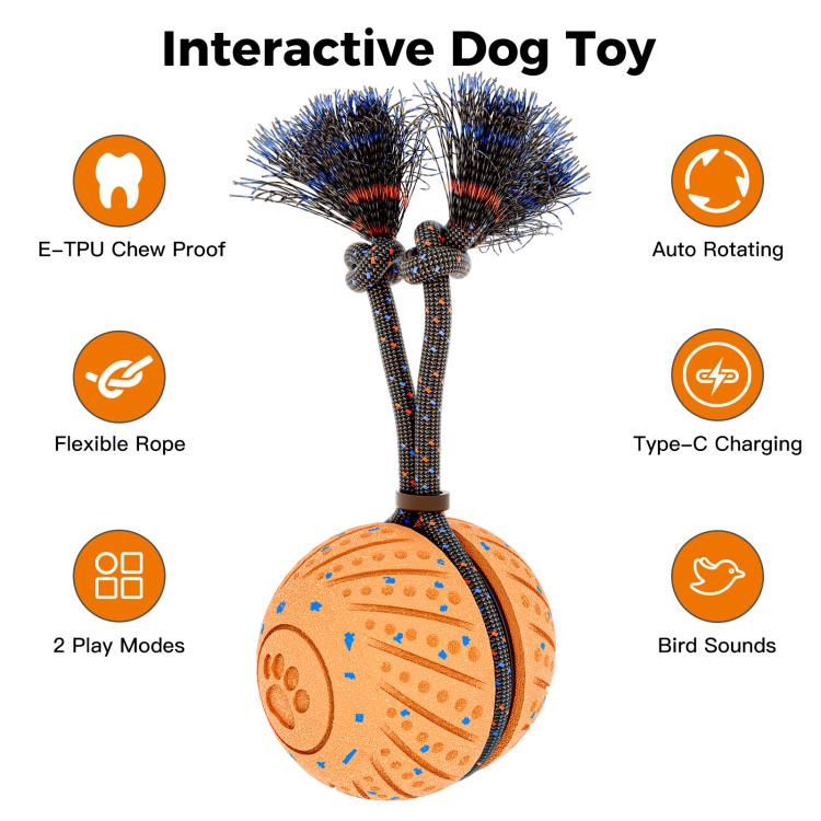 O30 Giocattolo intelligente automatico per animali domestici: palla per addestramento cani con suono e corda, O30