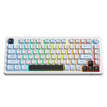 Tastiera meccanica silenziosa ONIKUMA MT501 75% RGB