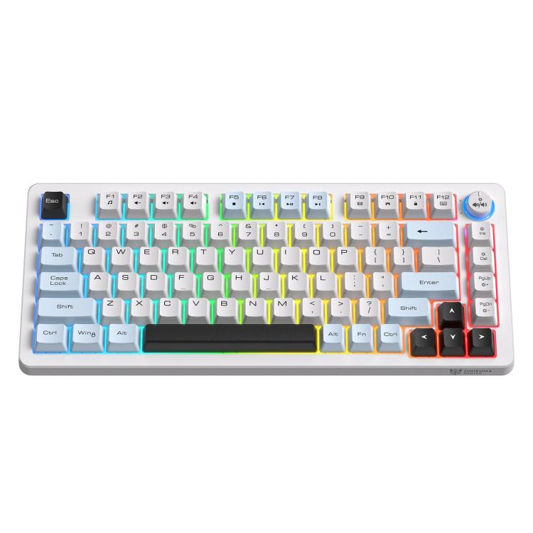 Tastiera meccanica silenziosa ONIKUMA MT501 75% RGB