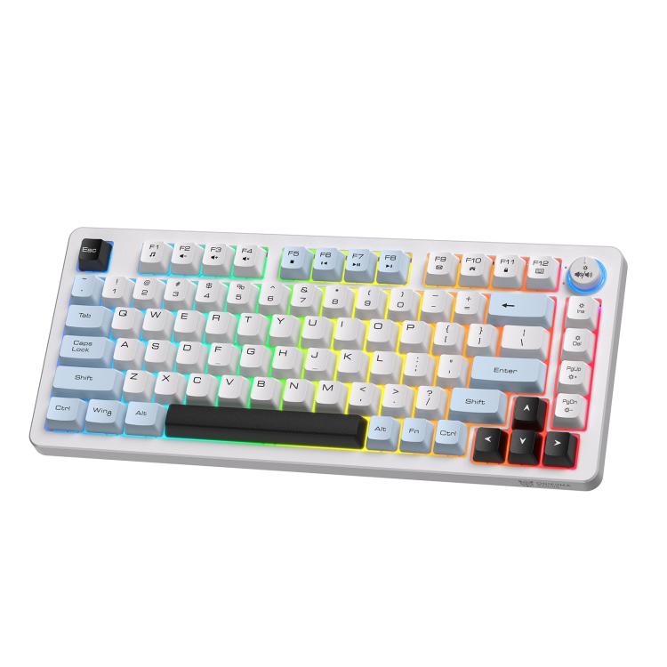 Tastiera meccanica silenziosa ONIKUMA MT501 75% RGB