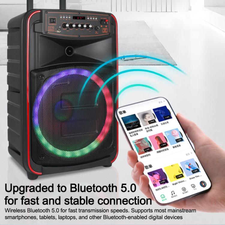 N-625 Altoparlante Bluetooth portatile con woofer RGB da 12 pollici per karaoke all'aperto e doppio microfono wireless, con ruote e illuminazione a LED., US Plug, EU Plug, UK Plug