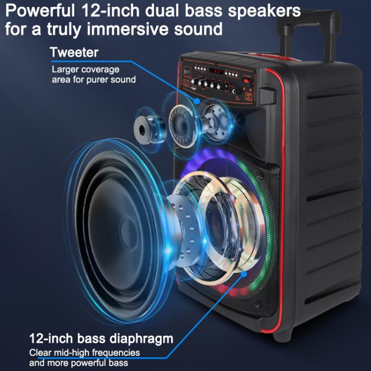 N-625 Altoparlante Bluetooth portatile con woofer RGB da 12 pollici per karaoke all'aperto e doppio microfono wireless, con ruote e illuminazione a LED., US Plug, EU Plug, UK Plug