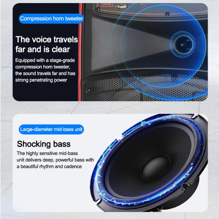 N-625 Altoparlante Bluetooth portatile con woofer RGB da 12 pollici per karaoke all'aperto e doppio microfono wireless, con ruote e illuminazione a LED., US Plug, EU Plug, UK Plug