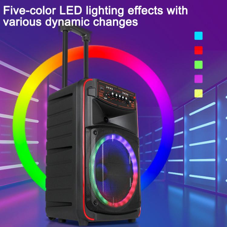 N-625 Altoparlante Bluetooth portatile con woofer RGB da 12 pollici per karaoke all'aperto e doppio microfono wireless, con ruote e illuminazione a LED., US Plug, EU Plug, UK Plug
