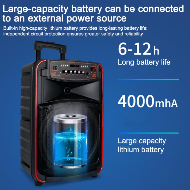N-625 Altoparlante Bluetooth portatile con woofer RGB da 12 pollici per karaoke all'aperto e doppio microfono wireless, con ruote e illuminazione a LED., US Plug, EU Plug, UK Plug