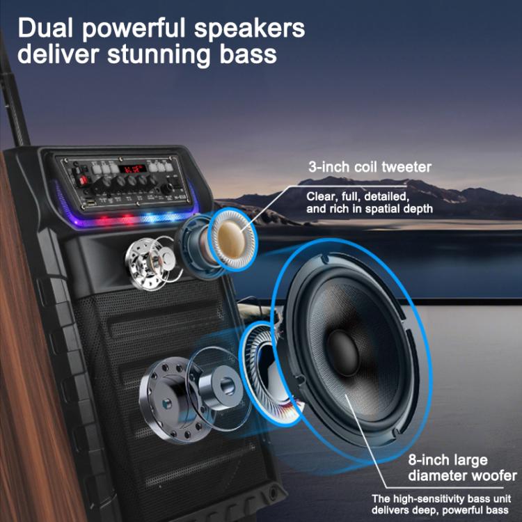 N-810 Altoparlante Bluetooth per karaoke da esterno con woofer da 8 pollici, illuminazione RGB e doppio microfono wireless., US Plug, EU Plug, UK Plug
