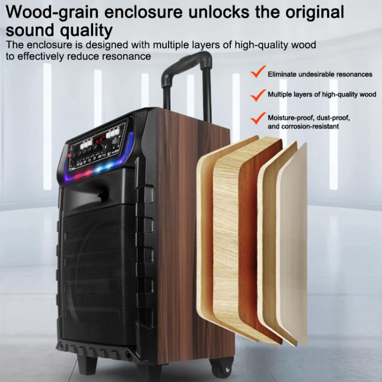 N-810 Altoparlante Bluetooth per karaoke da esterno con woofer da 8 pollici, illuminazione RGB e doppio microfono wireless., US Plug, EU Plug, UK Plug