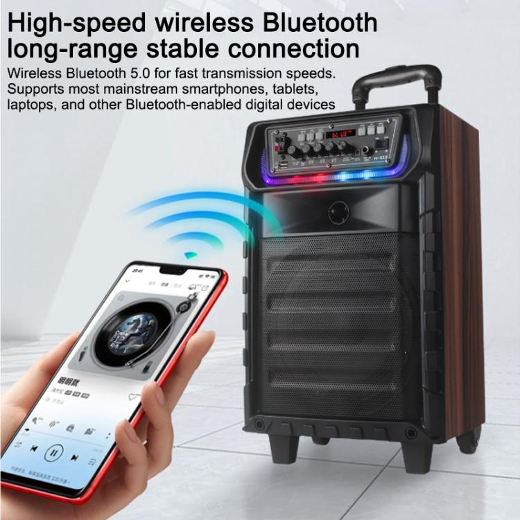 N-810 Altoparlante Bluetooth per karaoke da esterno con woofer da 8 pollici, illuminazione RGB e doppio microfono wireless., US Plug, EU Plug, UK Plug