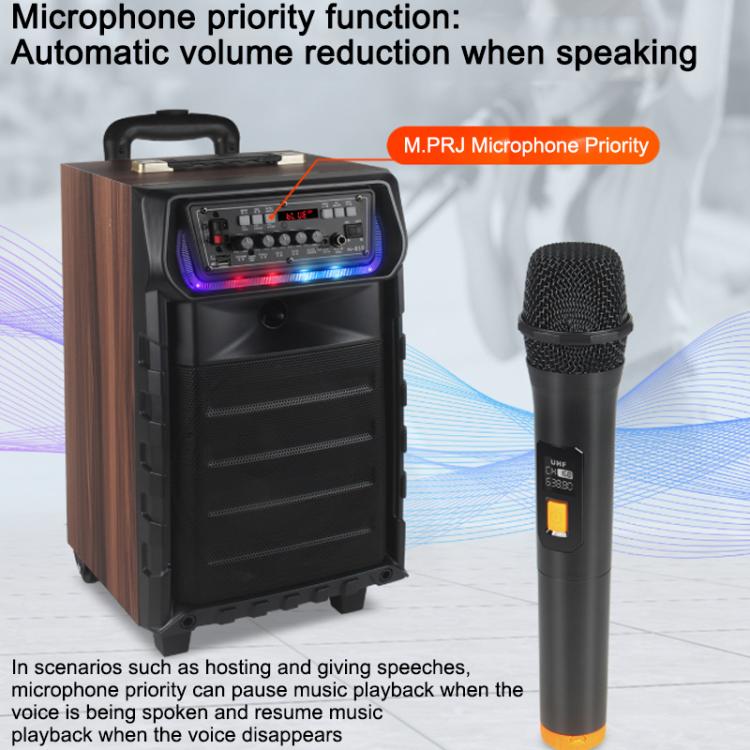 N-810 Altoparlante Bluetooth per karaoke da esterno con woofer da 8 pollici, illuminazione RGB e doppio microfono wireless., US Plug, EU Plug, UK Plug