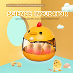 Incubatrice per l'educazione scientifica semiautomatica F1 Mini