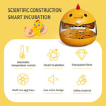 Incubatrice per l'educazione scientifica semiautomatica F1 Mini
