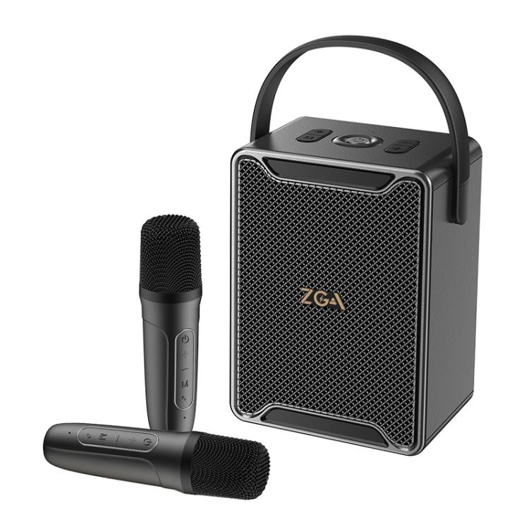 Altoparlante Bluetooth portatile ZGA PF010 con doppio microfono per karaoke