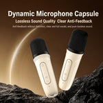 Altoparlante Bluetooth portatile ZGA PF010 con doppio microfono per karaoke