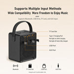 Altoparlante Bluetooth portatile ZGA PF010 con doppio microfono per karaoke