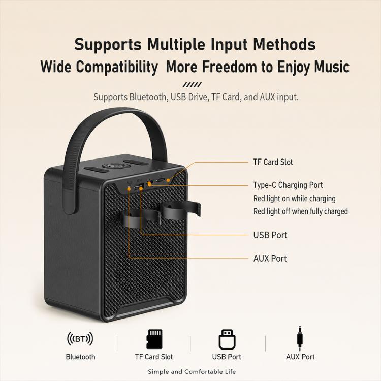 Altoparlante Bluetooth portatile ZGA PF010 con doppio microfono per karaoke