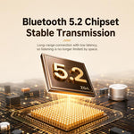 Altoparlante Bluetooth portatile ZGA PF010 con doppio microfono per karaoke