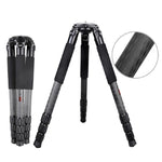 Treppiede grande in fibra di carbonio per videocamera robusta BEXIN ST424C, tubo massimo: 40 mm, ST424C