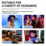 F-2A Mixer professionale multifunzione a 2 vie per registrazione e streaming live con scheda audio USB, F-2A