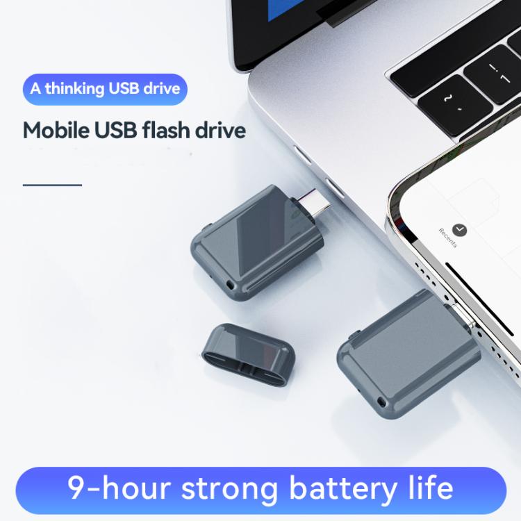 Registratore vocale con unità USB Type-C C32, 4GB, 8GB, 16GB, 32GB, 64GB, 128GB, 256GB