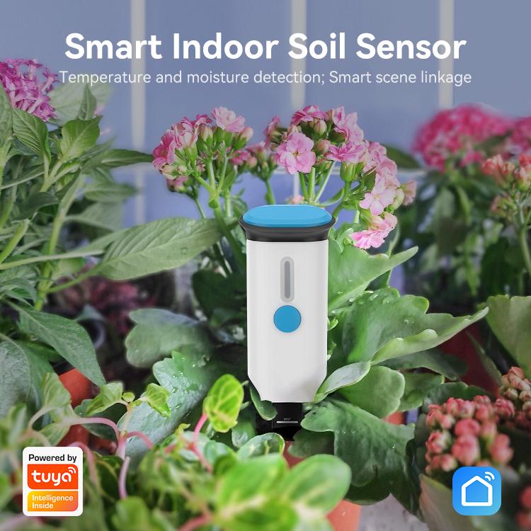 Sensore intelligente per terreno da interno NEO NAS-STH03W con Wi-Fi, STH03W