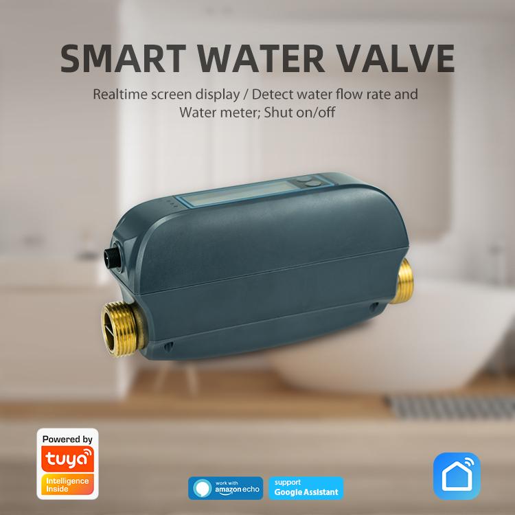 Valvola dell'acqua intelligente WiFi NEO NAS-WV07W, WV07W