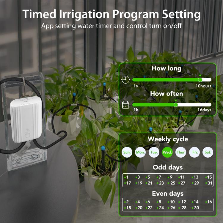 Sistema di irrigazione a goccia intelligente WiFi NEO NAS-WV08W, WV08W