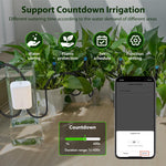 Sistema di irrigazione a goccia intelligente WiFi NEO NAS-WV08W, WV08W