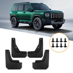 Set di 4 parafanghi per auto, For GreatWall Haval Menglong Petrol 2025