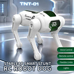 Robot cane telecomandato JJR/C R42 con acrobazie 360°